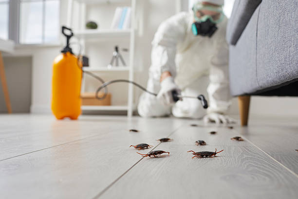 Post-Treatment Bed Bug Interceptor Monitoring in Clarks Green